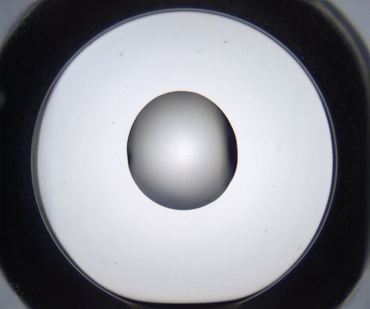 folderID278_plateID2278_batchID10787_wellNum62_profileID1_d1_r158952_ef.jpg