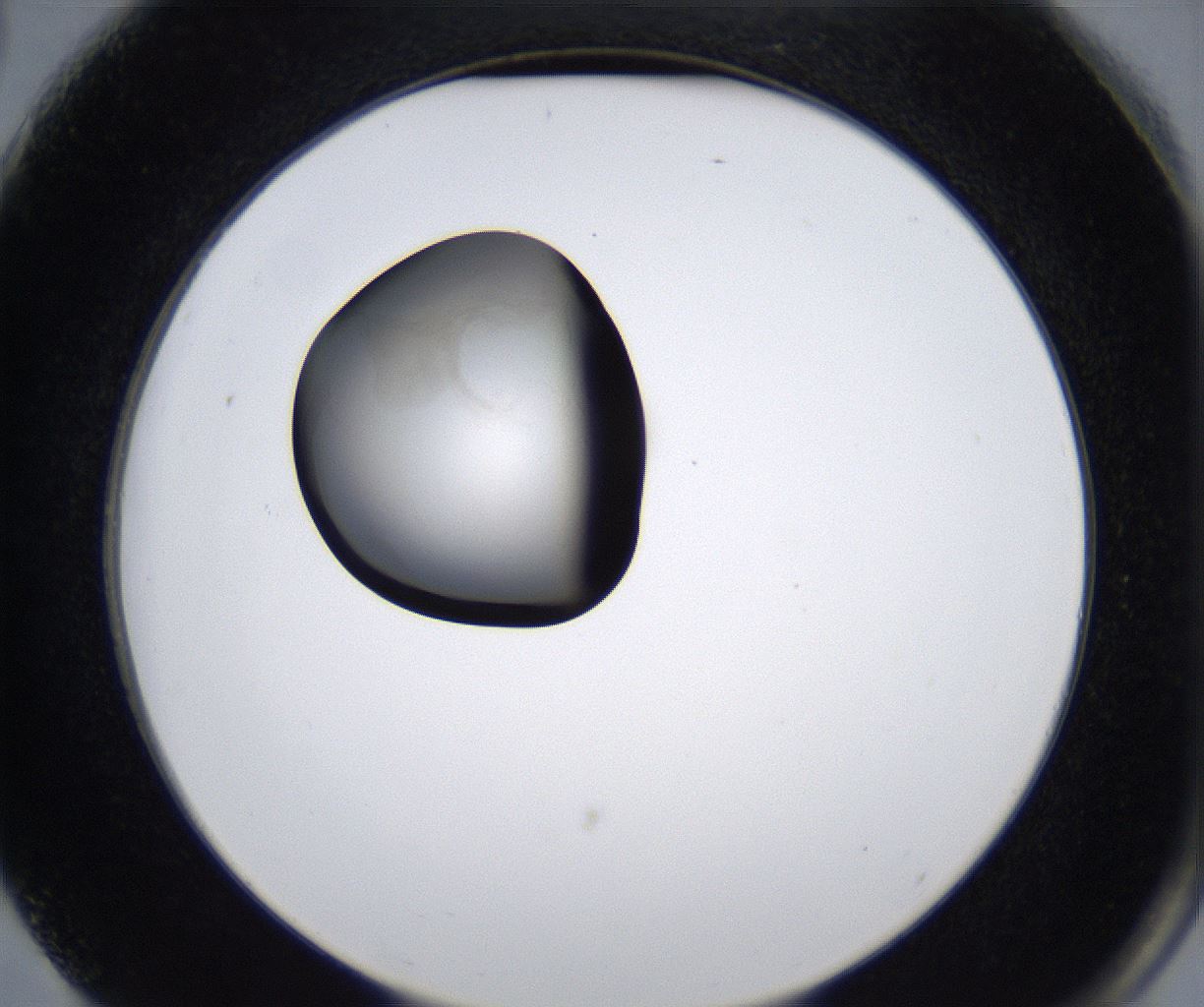 folderID278_plateID2278_batchID10787_wellNum75_profileID1_d2_r158979_ef.jpg