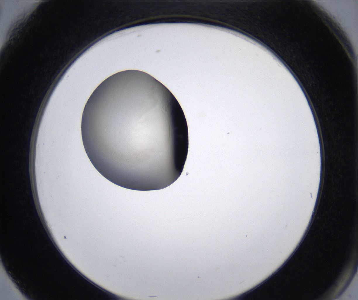folderID278_plateID2278_batchID10787_wellNum76_profileID1_d2_r158981_ef.jpg