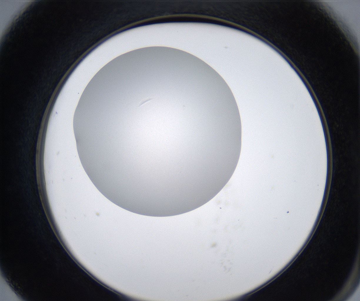 folderID278_plateID2278_batchID10787_wellNum79_profileID1_d2_r158987_ef.jpg