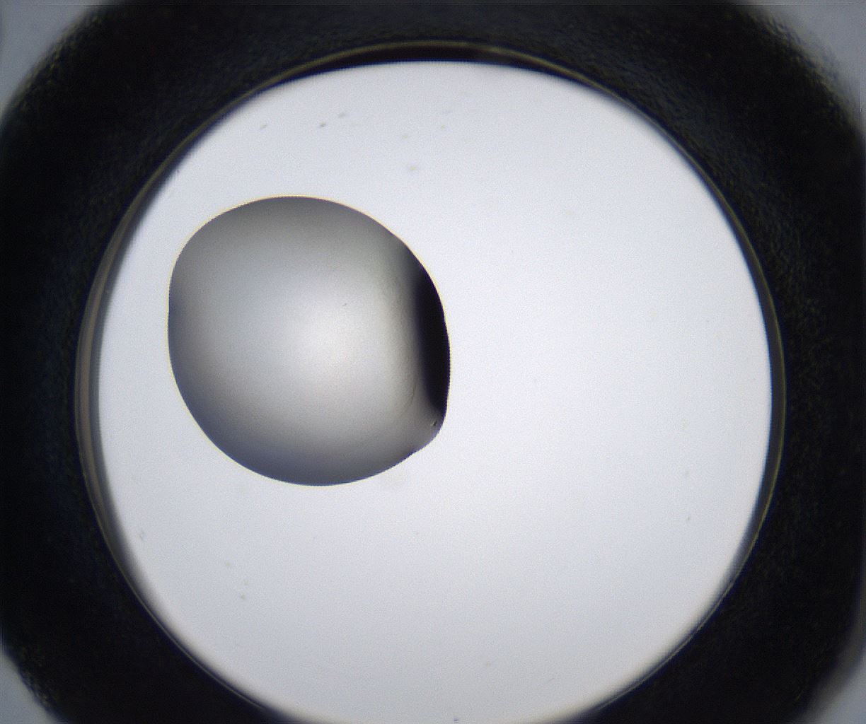 folderID278_plateID2278_batchID10787_wellNum80_profileID1_d2_r158989_ef.jpg