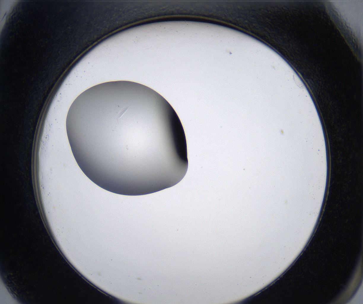 folderID278_plateID2278_batchID10787_wellNum81_profileID1_d2_r158991_ef.jpg