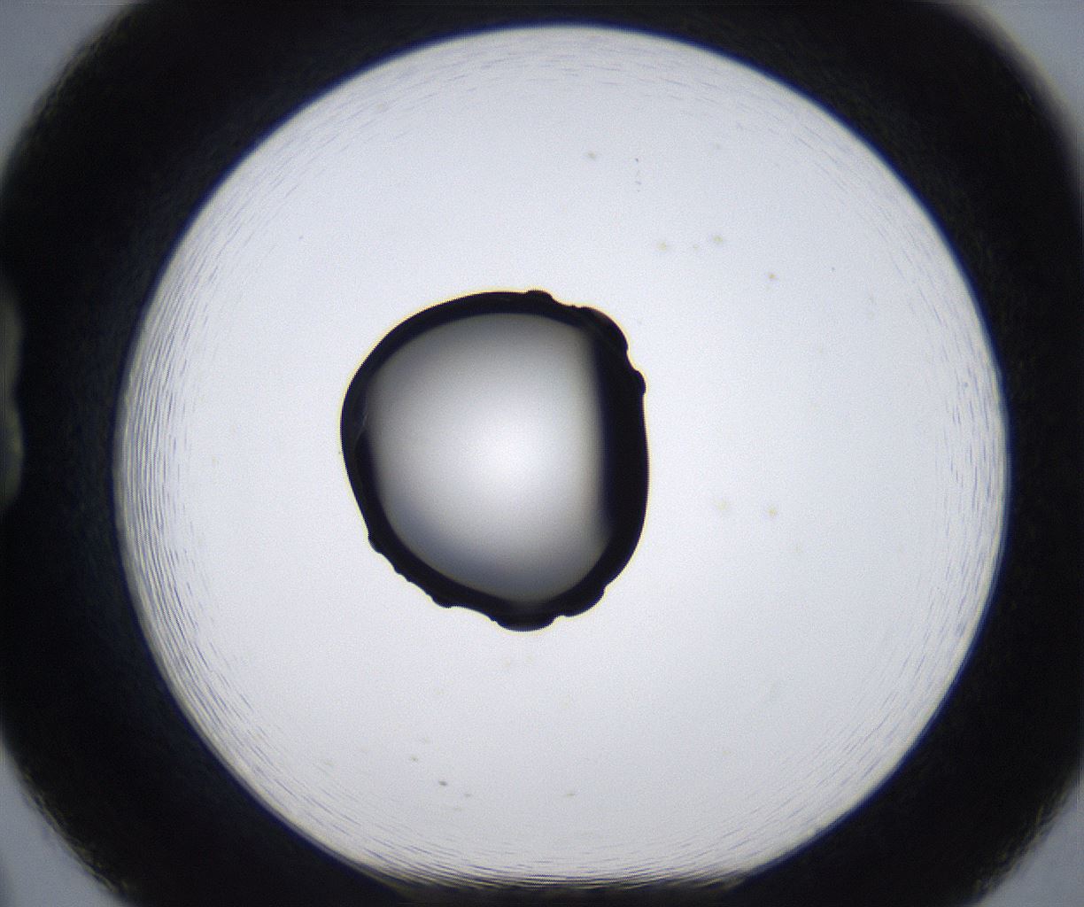 folderID278_plateID2278_batchID10787_wellNum20_profileID1_d1_r158868_ef.jpg