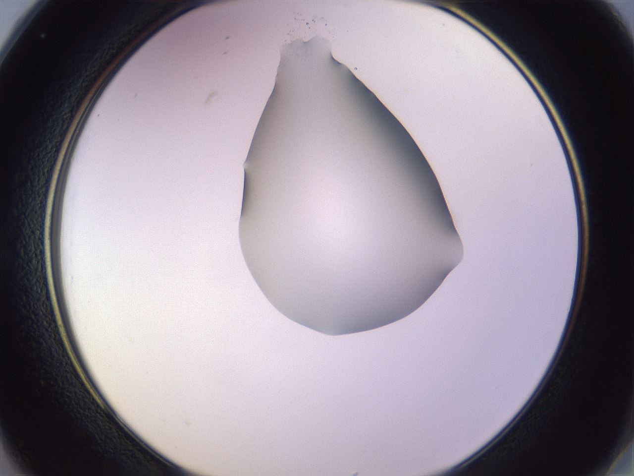 folderID279_plateID1279_batchID4171_wellNum25_profileID1_d2_r74921_ef.jpg