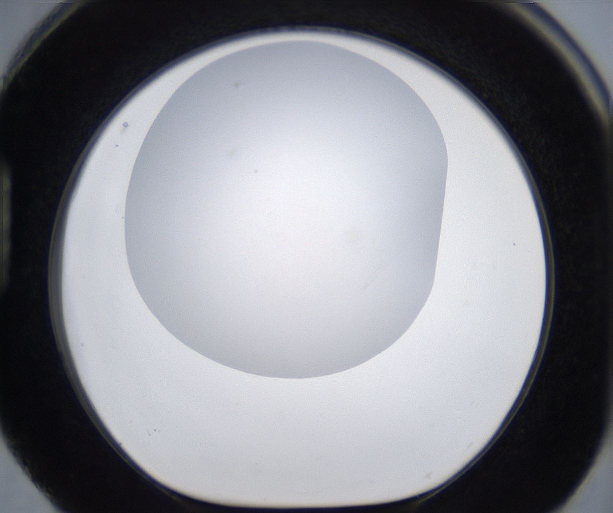 folderID278_plateID2278_batchID10787_wellNum88_profileID1_d1_r159004_ef.jpg