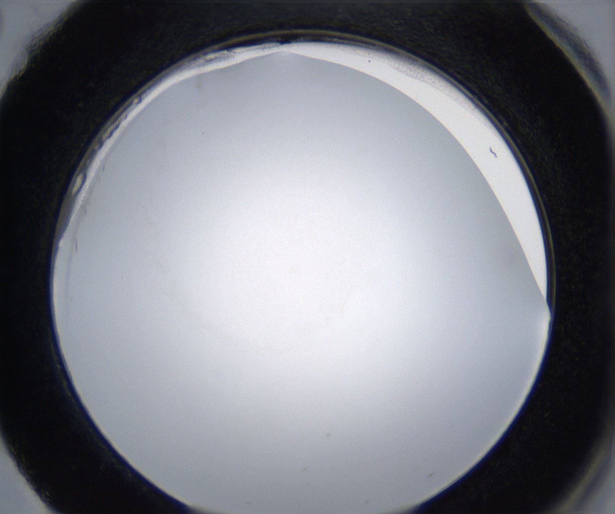 folderID278_plateID2278_batchID10787_wellNum88_profileID1_d2_r159005_ef.jpg