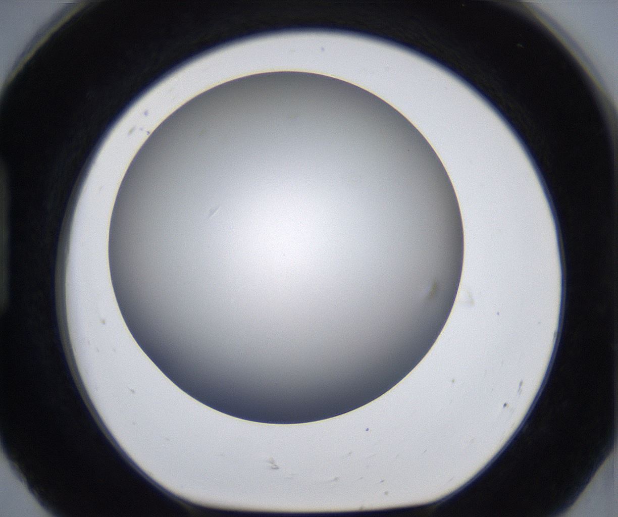 folderID278_plateID2278_batchID10787_wellNum92_profileID1_d1_r159012_ef.jpg