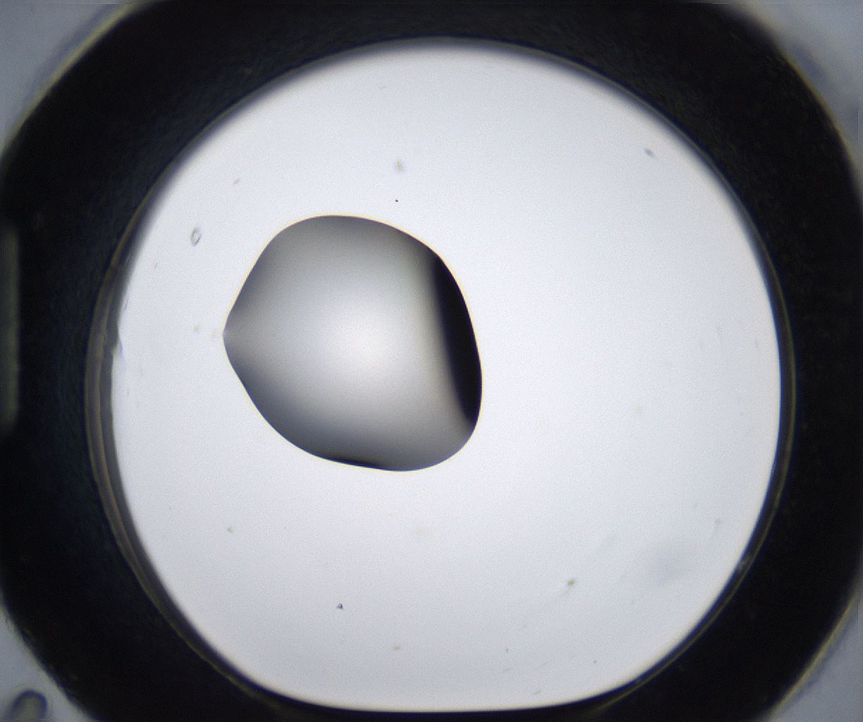 folderID278_plateID2278_batchID10787_wellNum95_profileID1_d1_r159018_ef.jpg