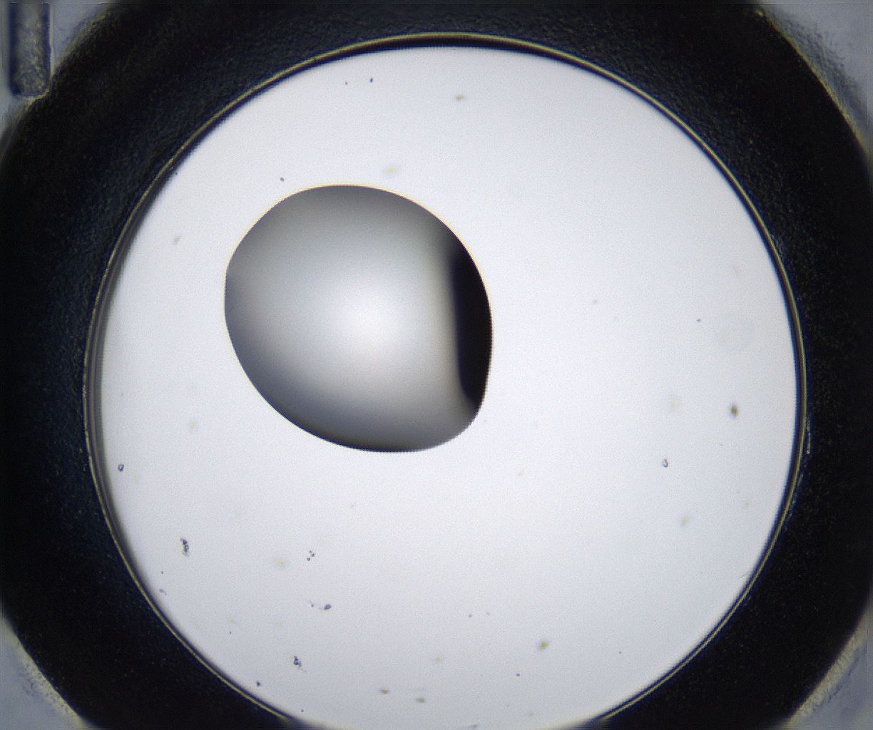 folderID278_plateID2278_batchID10787_wellNum95_profileID1_d2_r159019_ef.jpg