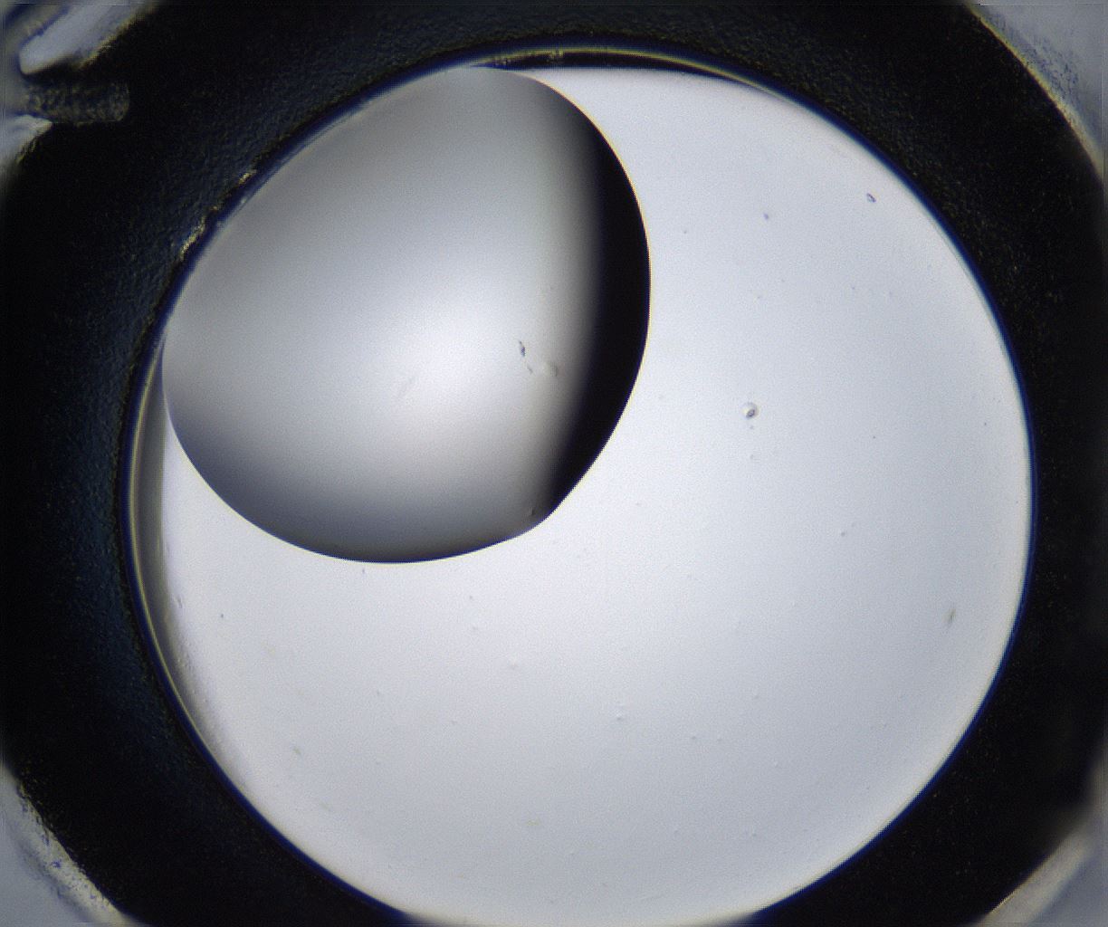 folderID278_plateID2278_batchID10787_wellNum96_profileID1_d2_r159021_ef.jpg