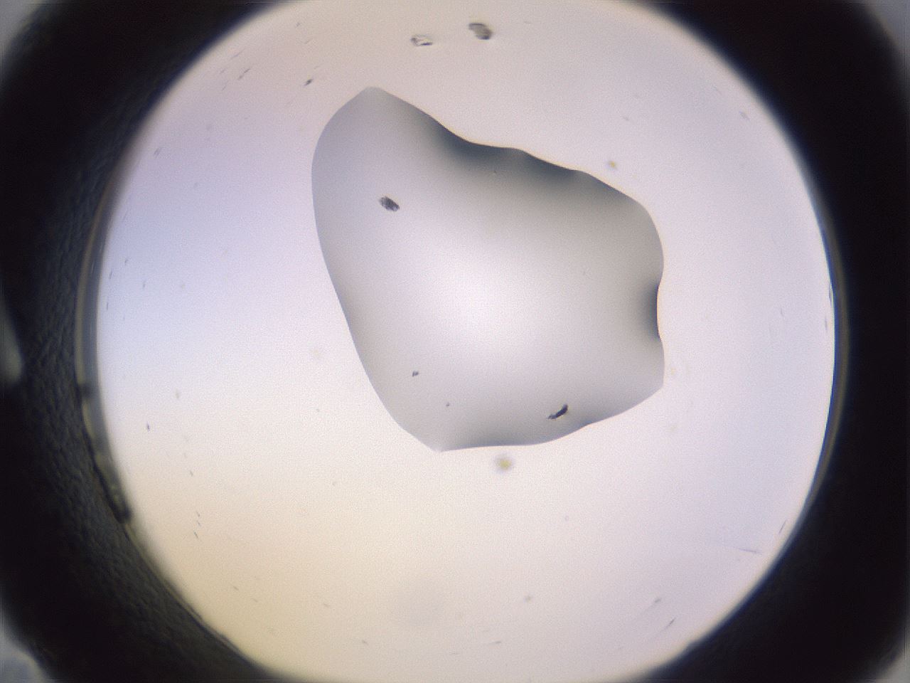 folderID279_plateID1279_batchID4171_wellNum11_profileID1_d1_r74892_ef.jpg