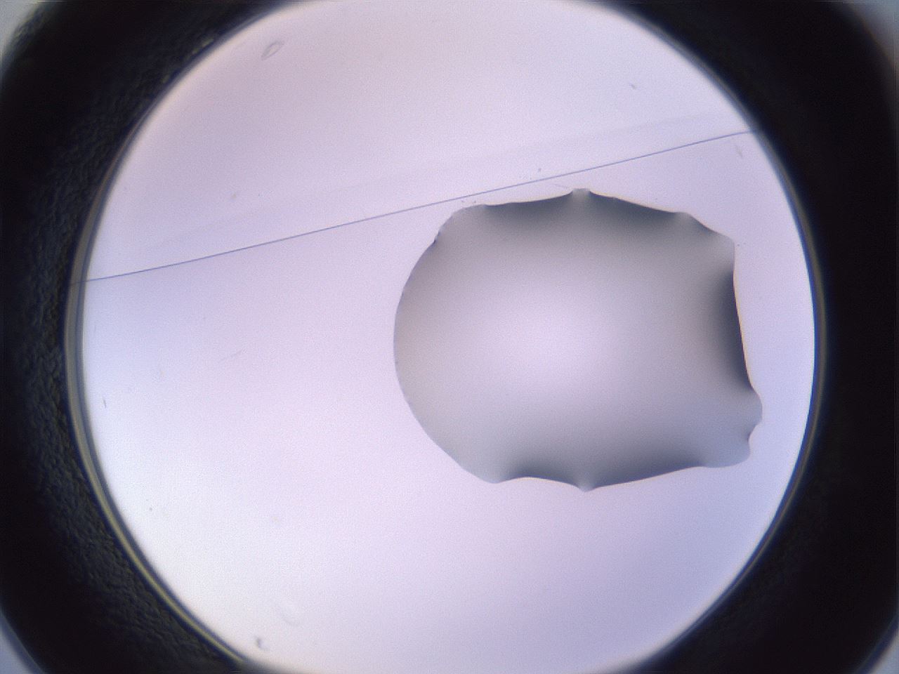 folderID279_plateID1279_batchID4171_wellNum25_profileID1_d1_r74920_ef.jpg