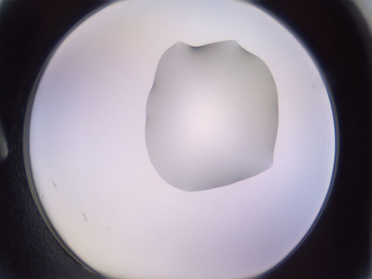 folderID279_plateID1279_batchID4171_wellNum2_profileID1_d1_r74874_ef.jpg