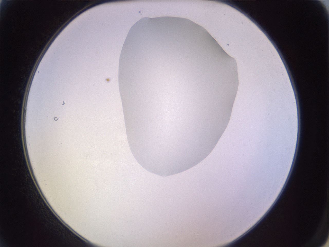 folderID279_plateID1279_batchID4171_wellNum2_profileID1_d2_r74875_ef.jpg