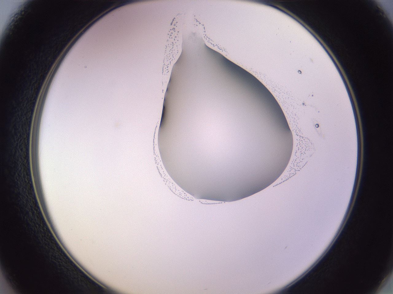 folderID279_plateID1279_batchID4171_wellNum37_profileID1_d2_r74945_ef.jpg