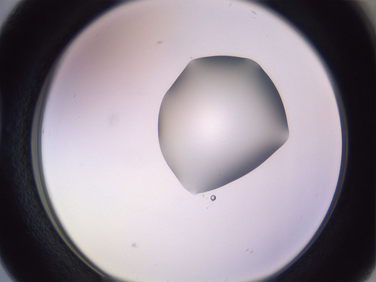 folderID279_plateID1279_batchID4171_wellNum38_profileID1_d1_r74946_ef.jpg