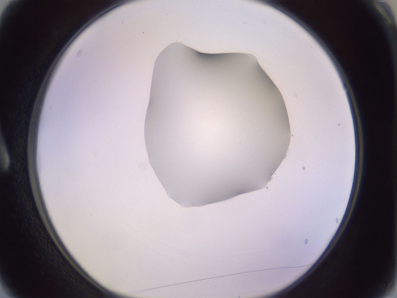 folderID279_plateID1279_batchID4171_wellNum3_profileID1_d1_r74876_ef.jpg