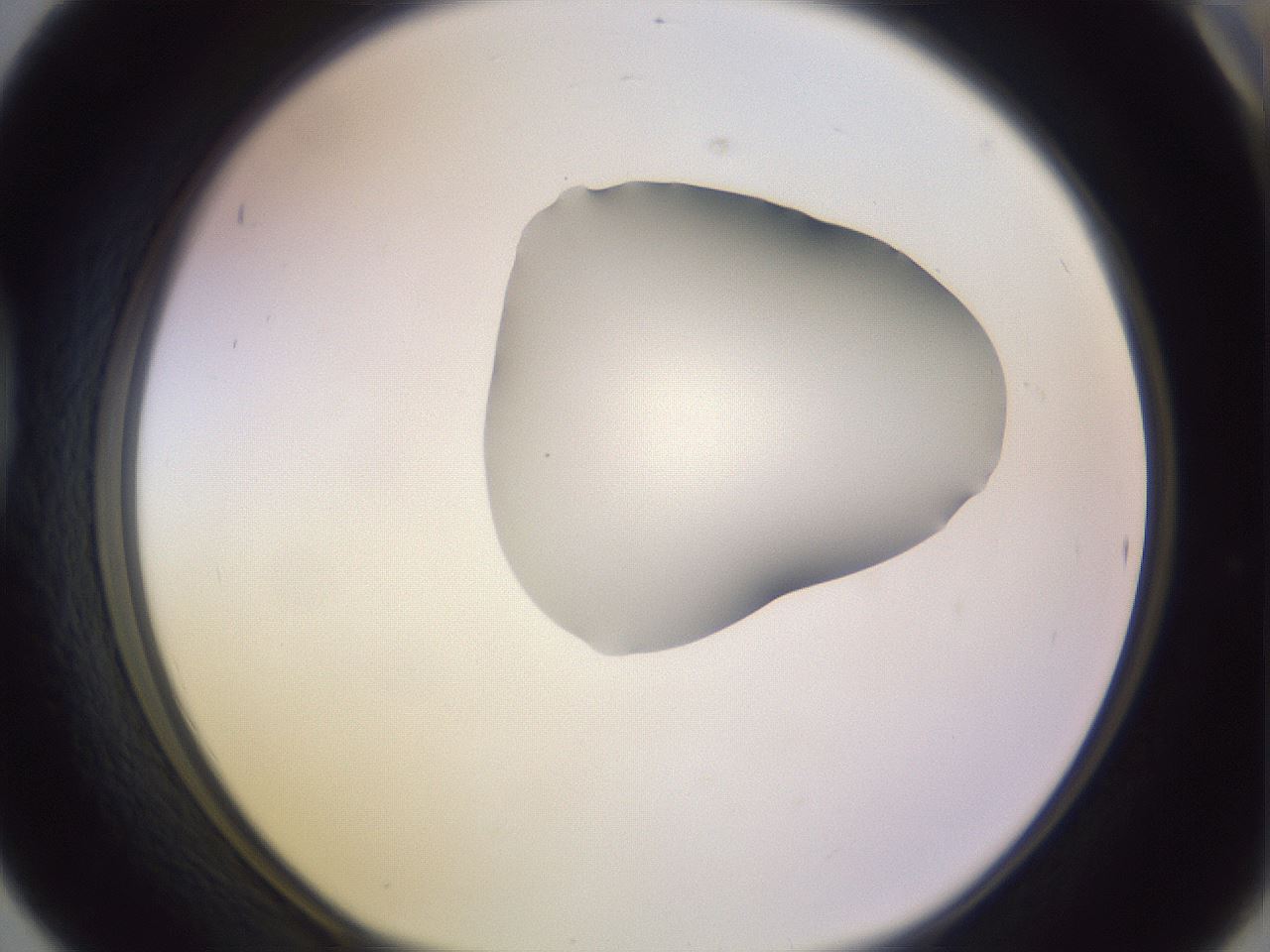 folderID279_plateID1279_batchID4171_wellNum42_profileID1_d1_r74954_ef.jpg