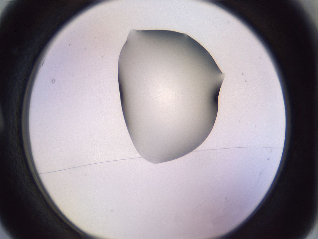 folderID279_plateID1279_batchID4171_wellNum5_profileID1_d1_r74880_ef.jpg