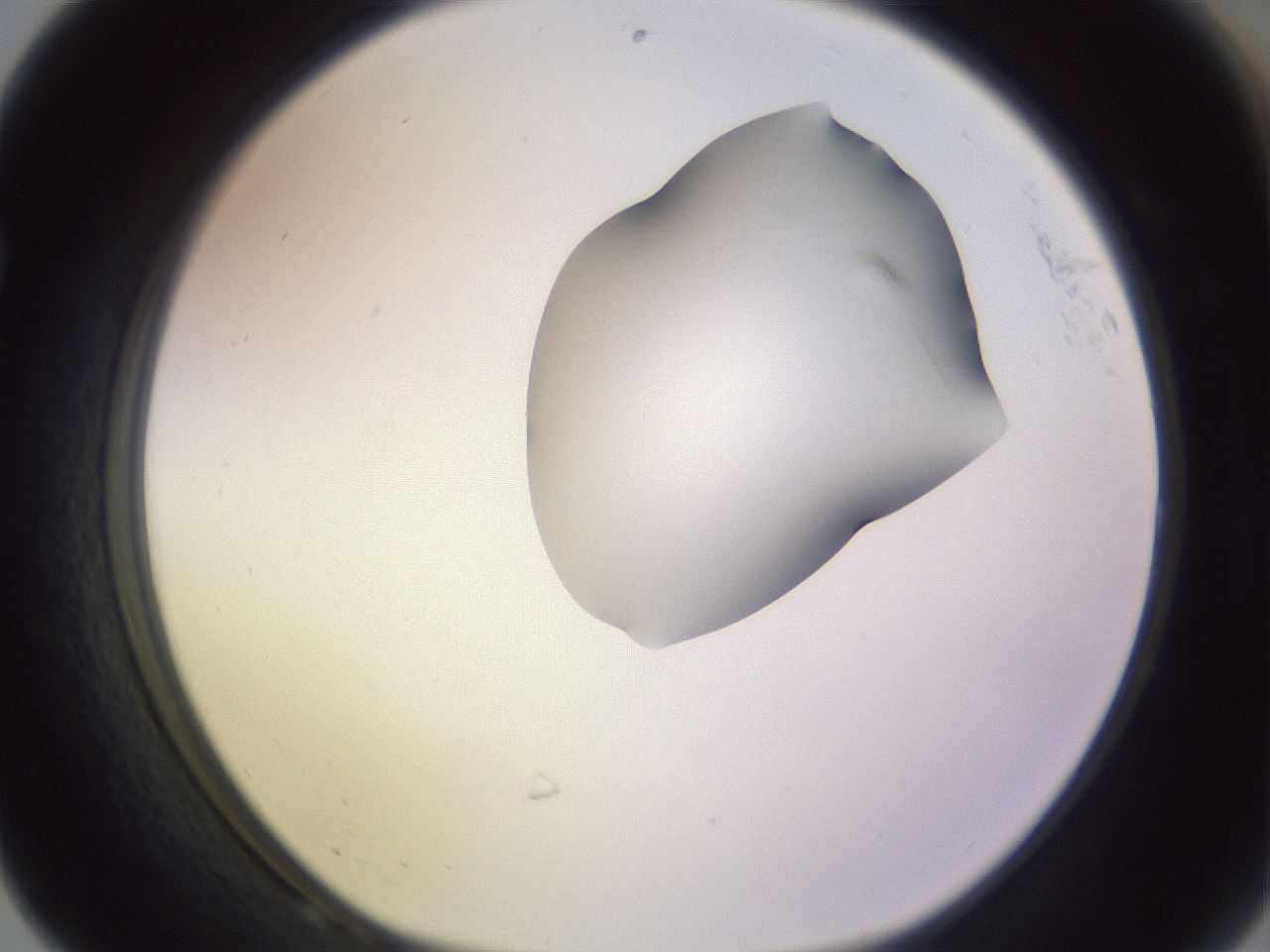 folderID279_plateID1279_batchID4171_wellNum68_profileID1_d1_r75006_ef.jpg