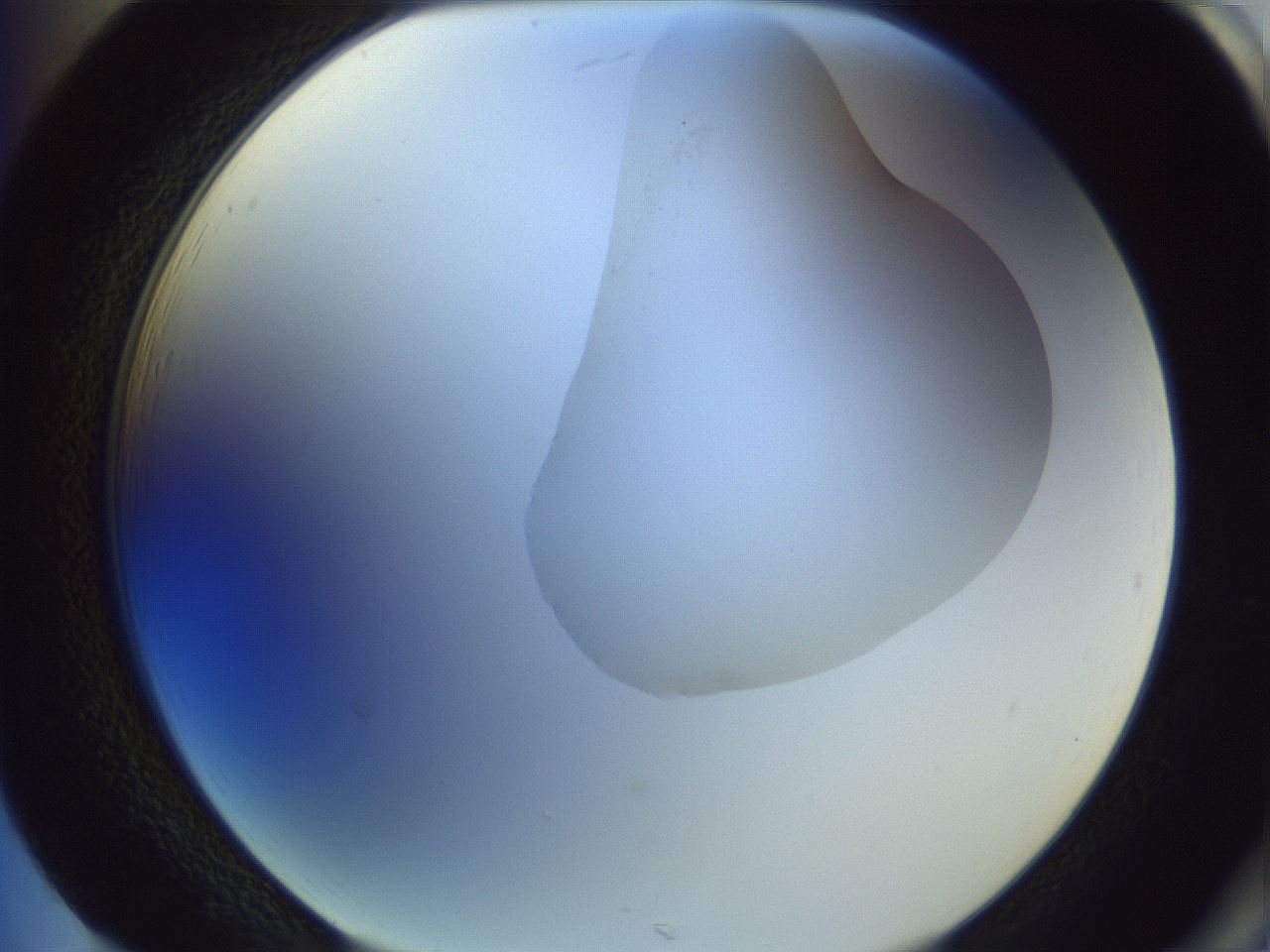 folderID279_plateID1279_batchID4171_wellNum85_profileID1_d2_r75041_ef.jpg