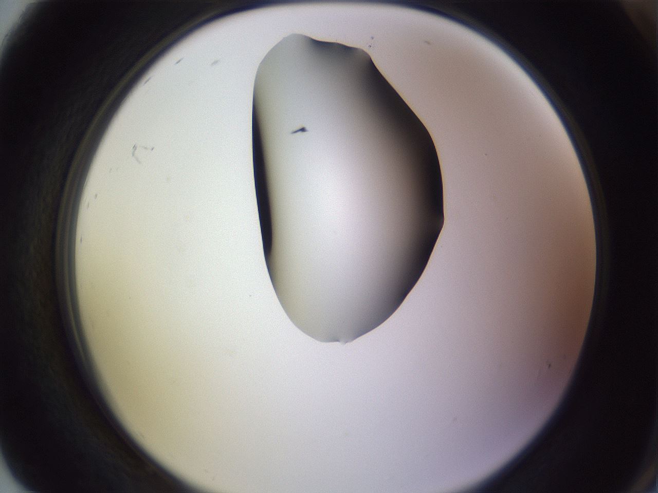 folderID279_plateID1279_batchID4171_wellNum92_profileID1_d2_r75055_ef.jpg