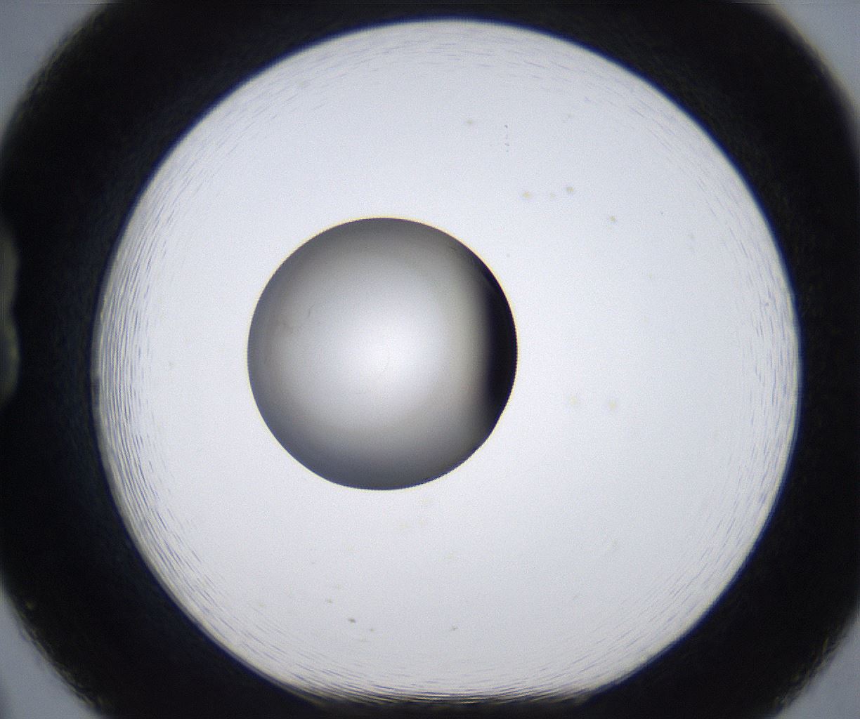 folderID279_plateID2279_batchID10792_wellNum20_profileID1_d1_r159060_ef.jpg