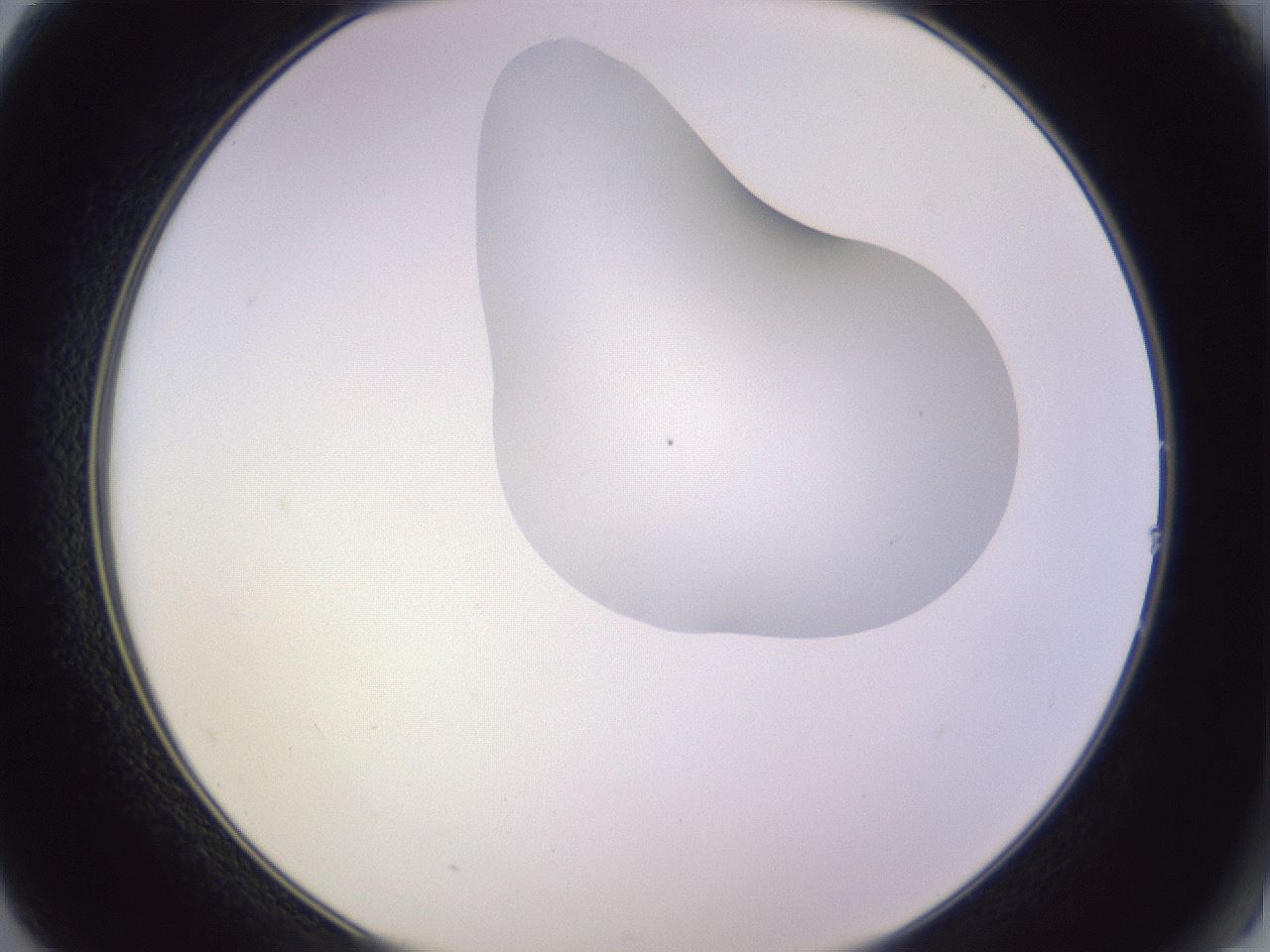 folderID280_plateID1280_batchID4172_wellNum14_profileID1_d2_r75283_ef.jpg