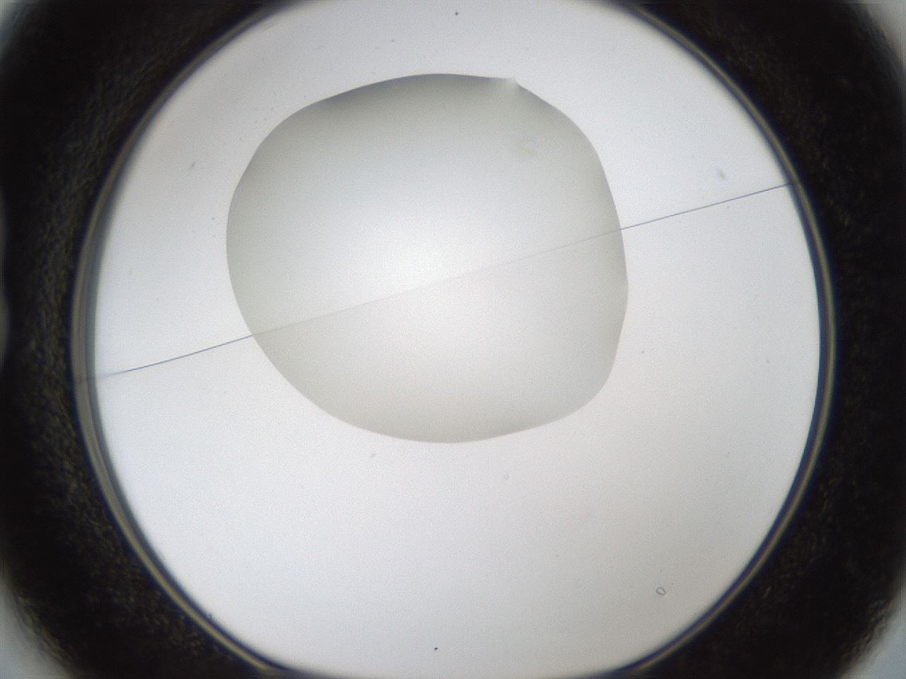folderID286_plateID1286_batchID4278_wellNum13_profileID1_d1_r77572_ef.jpg