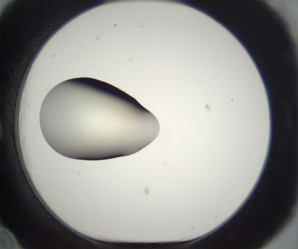 folderID286_plateID2286_batchID10841_wellNum12_profileID1_d1_r160473_ef.jpg