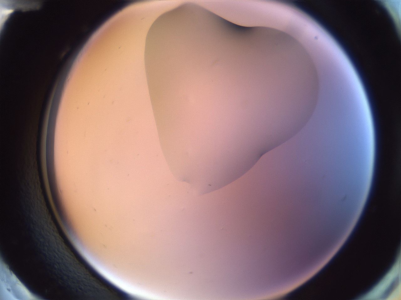 folderID279_plateID1279_batchID4171_wellNum96_profileID1_d2_r75063_ef.jpg