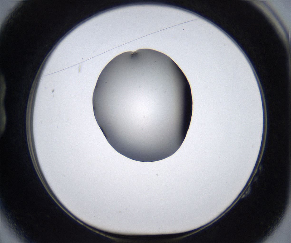 folderID279_plateID2279_batchID10792_wellNum14_profileID1_d1_r159048_ef.jpg