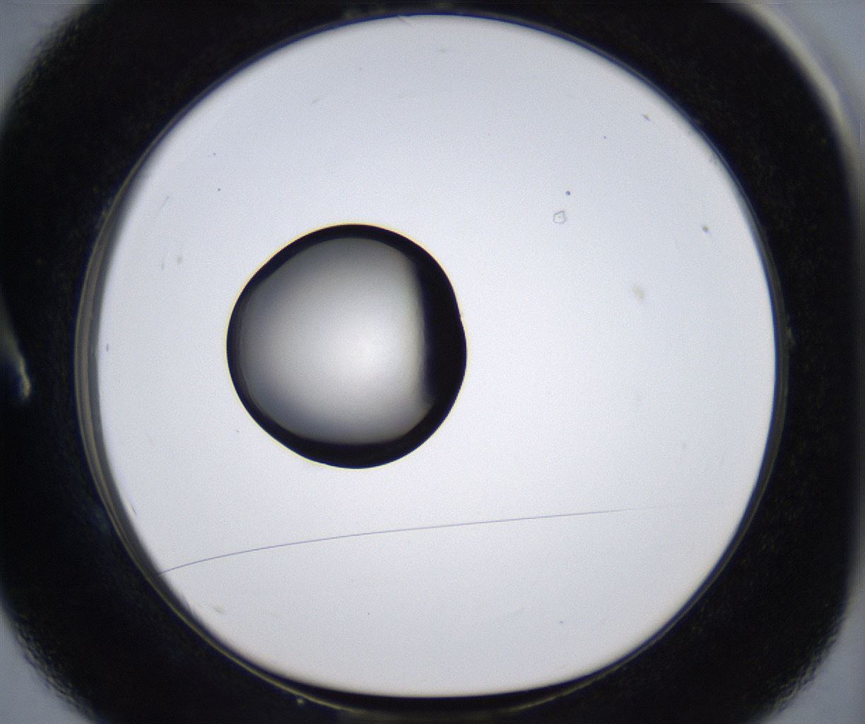 folderID279_plateID2279_batchID10792_wellNum1_profileID1_d1_r159022_ef.jpg