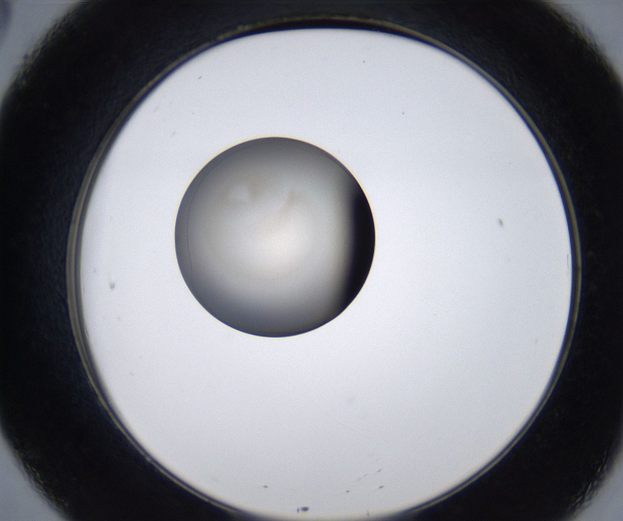 folderID279_plateID2279_batchID10792_wellNum20_profileID1_d2_r159061_ef.jpg