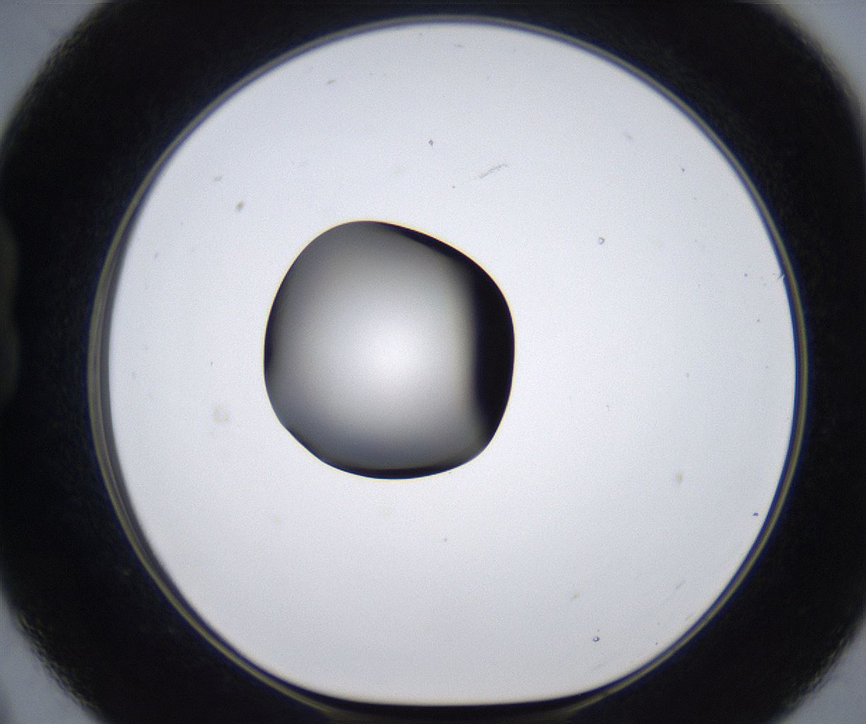 folderID279_plateID2279_batchID10792_wellNum21_profileID1_d1_r159062_ef.jpg