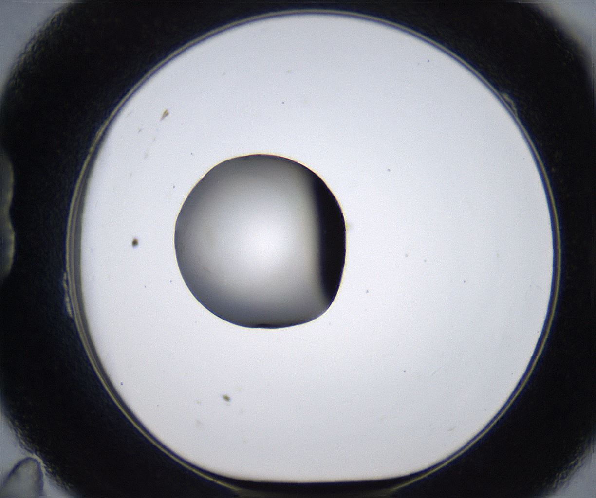 folderID279_plateID2279_batchID10792_wellNum23_profileID1_d1_r159066_ef.jpg