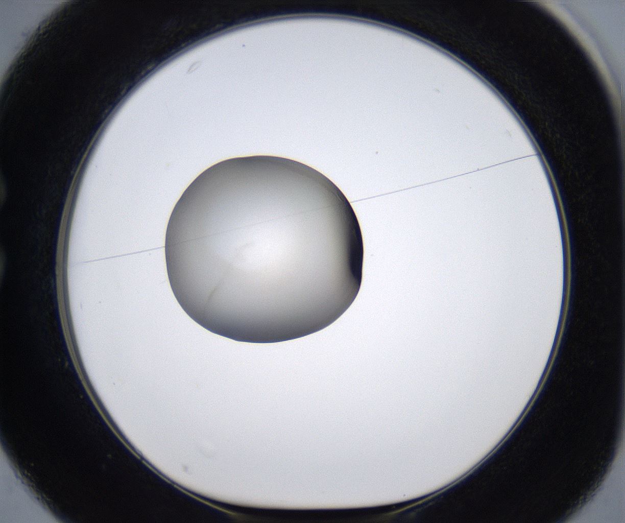 folderID279_plateID2279_batchID10792_wellNum25_profileID1_d1_r159070_ef.jpg