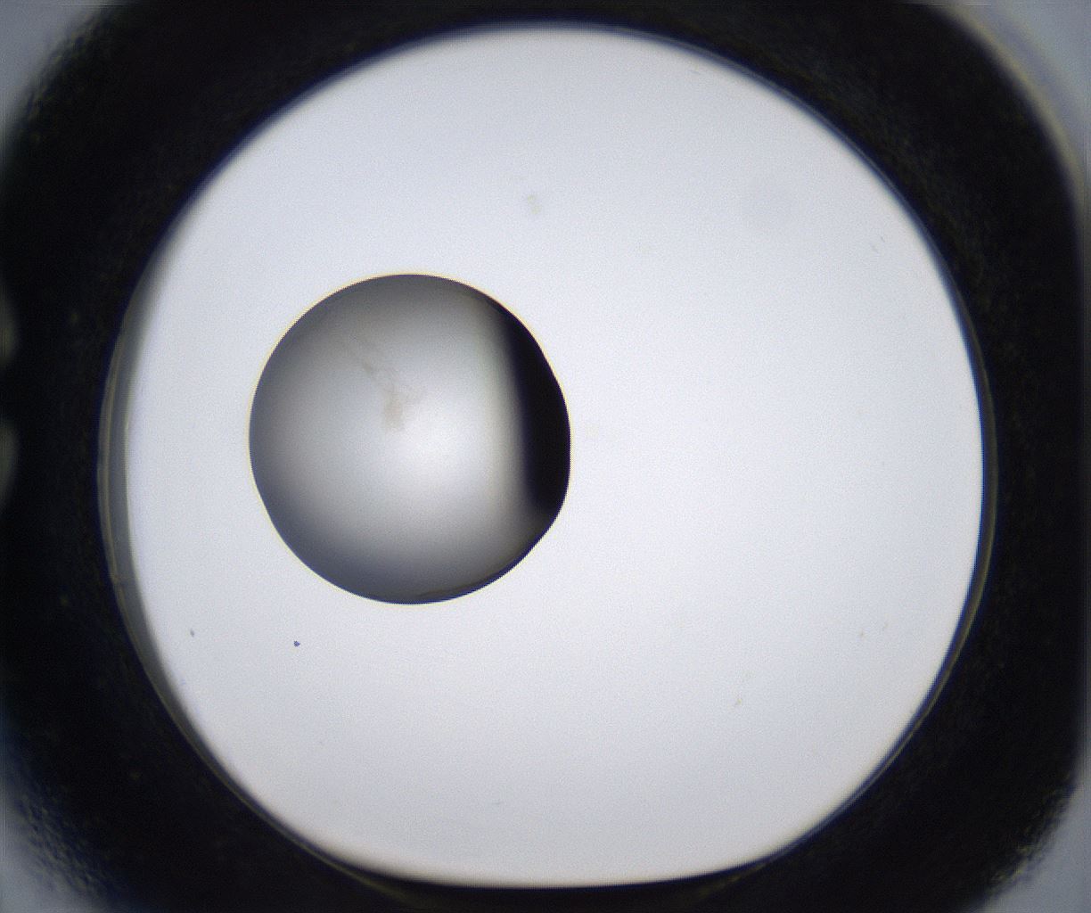 folderID279_plateID2279_batchID10792_wellNum27_profileID1_d1_r159074_ef.jpg