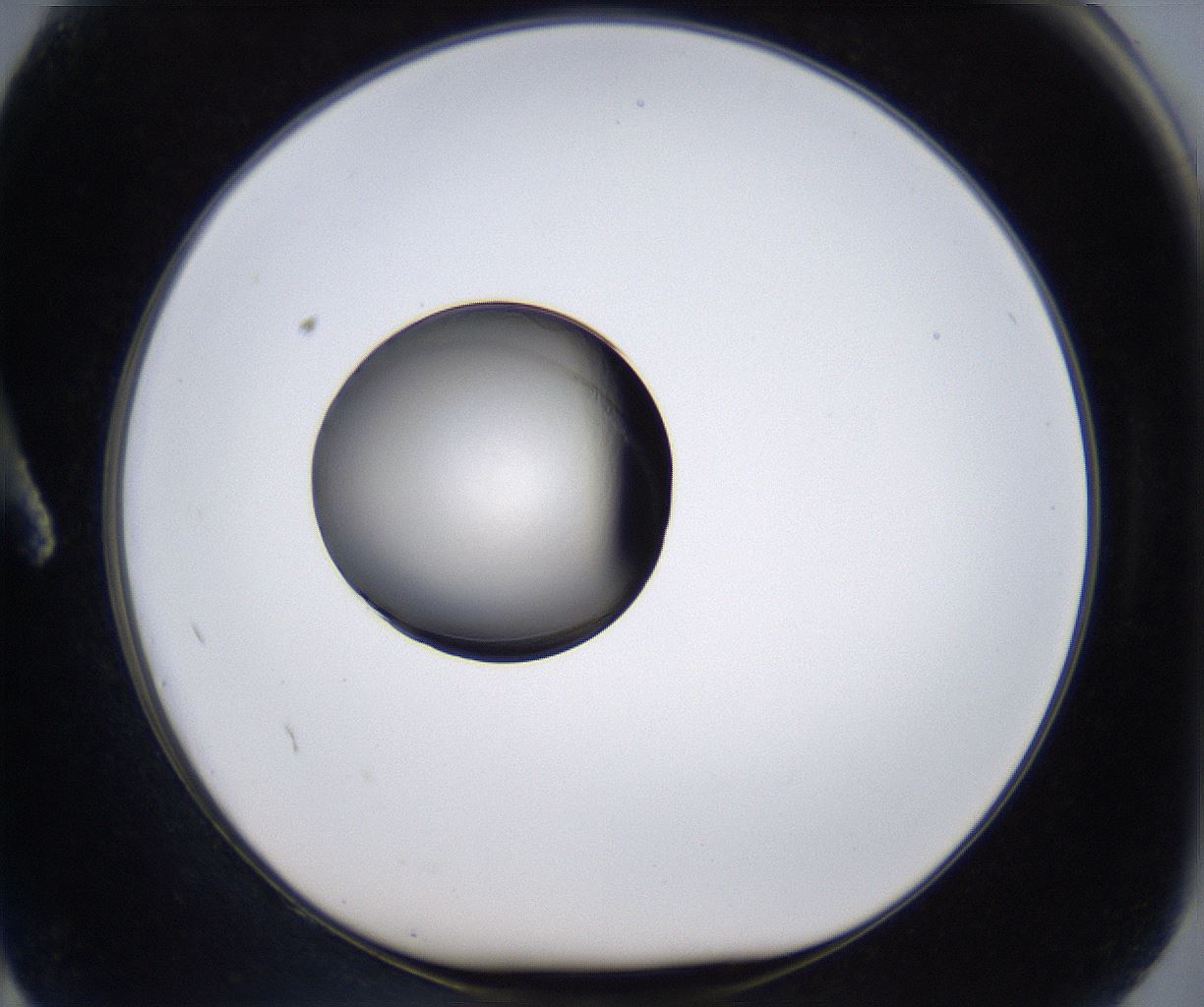 folderID279_plateID2279_batchID10792_wellNum2_profileID1_d1_r159024_ef.jpg
