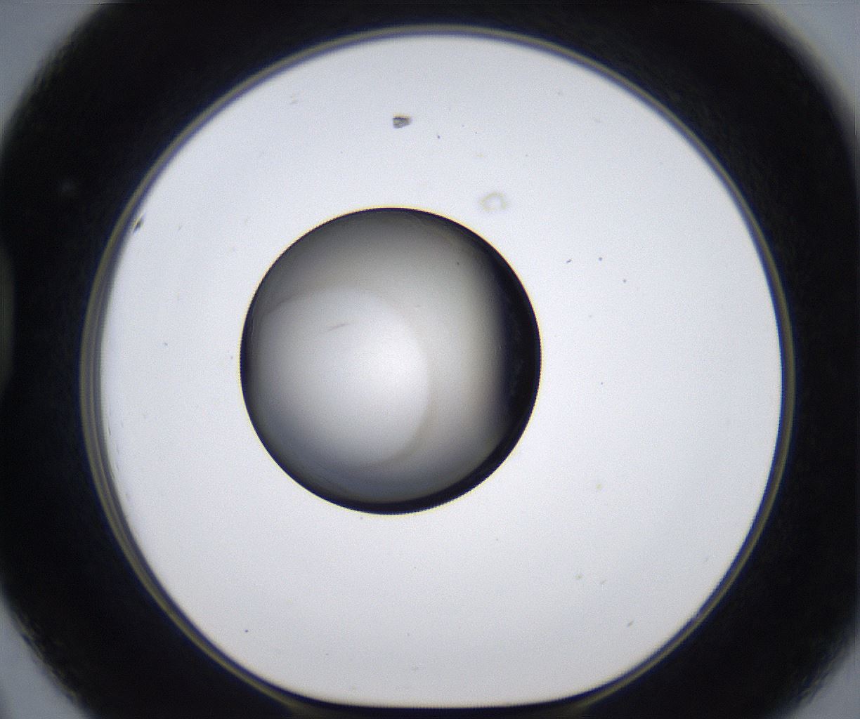 folderID279_plateID2279_batchID10792_wellNum44_profileID1_d1_r159108_ef.jpg
