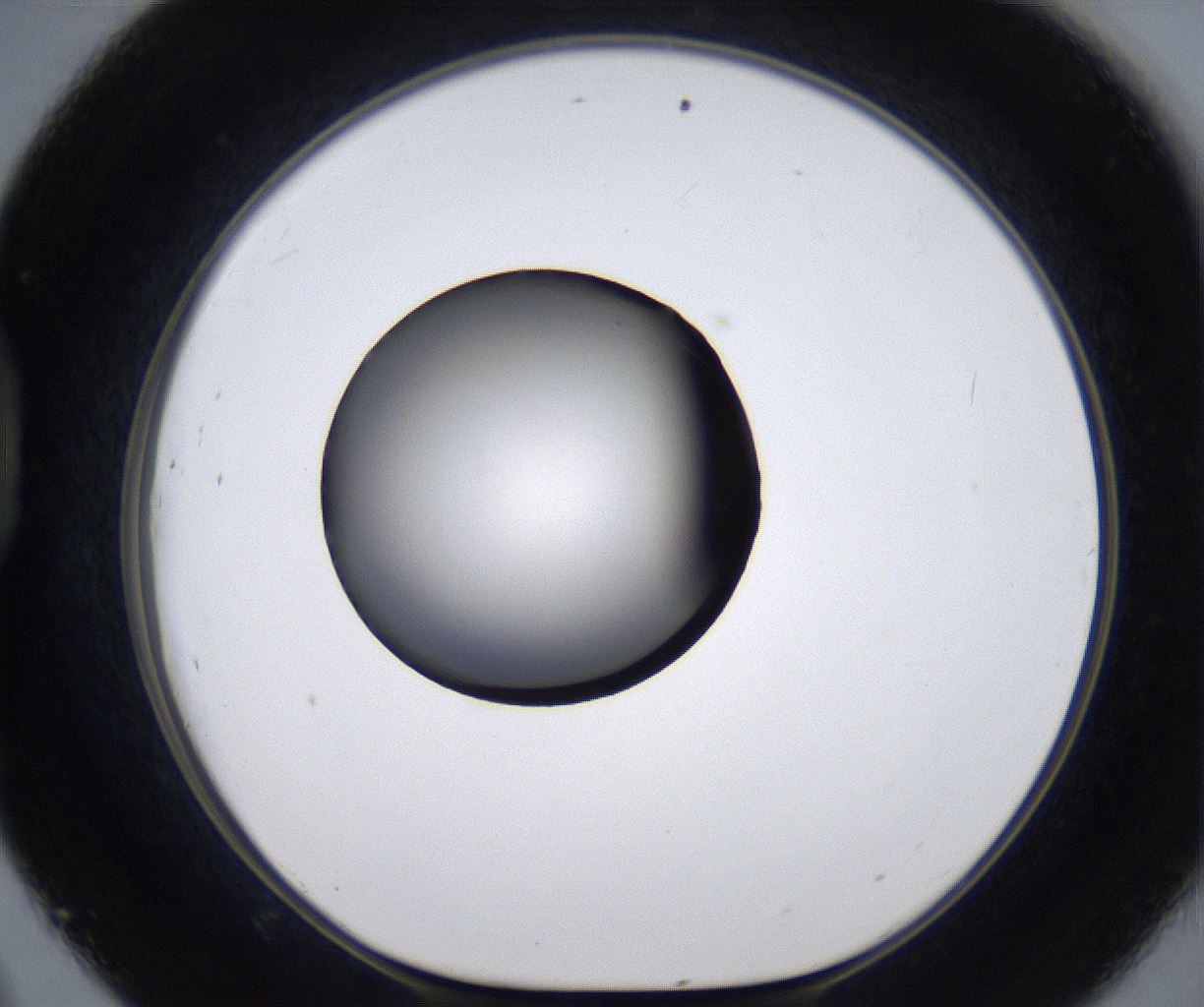 folderID279_plateID2279_batchID10792_wellNum45_profileID1_d1_r159110_ef.jpg