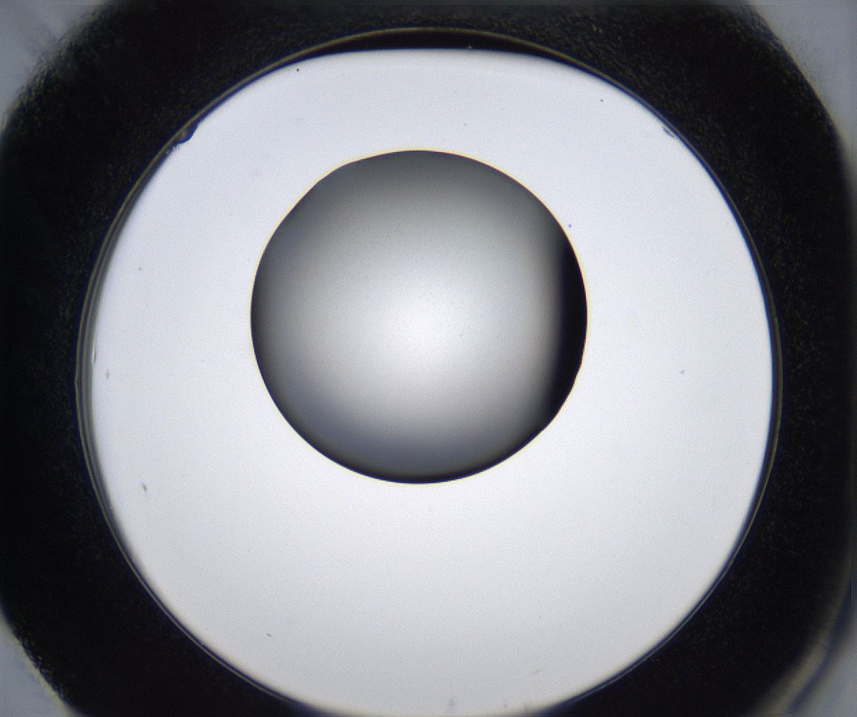 folderID279_plateID2279_batchID10792_wellNum61_profileID1_d2_r159143_ef.jpg