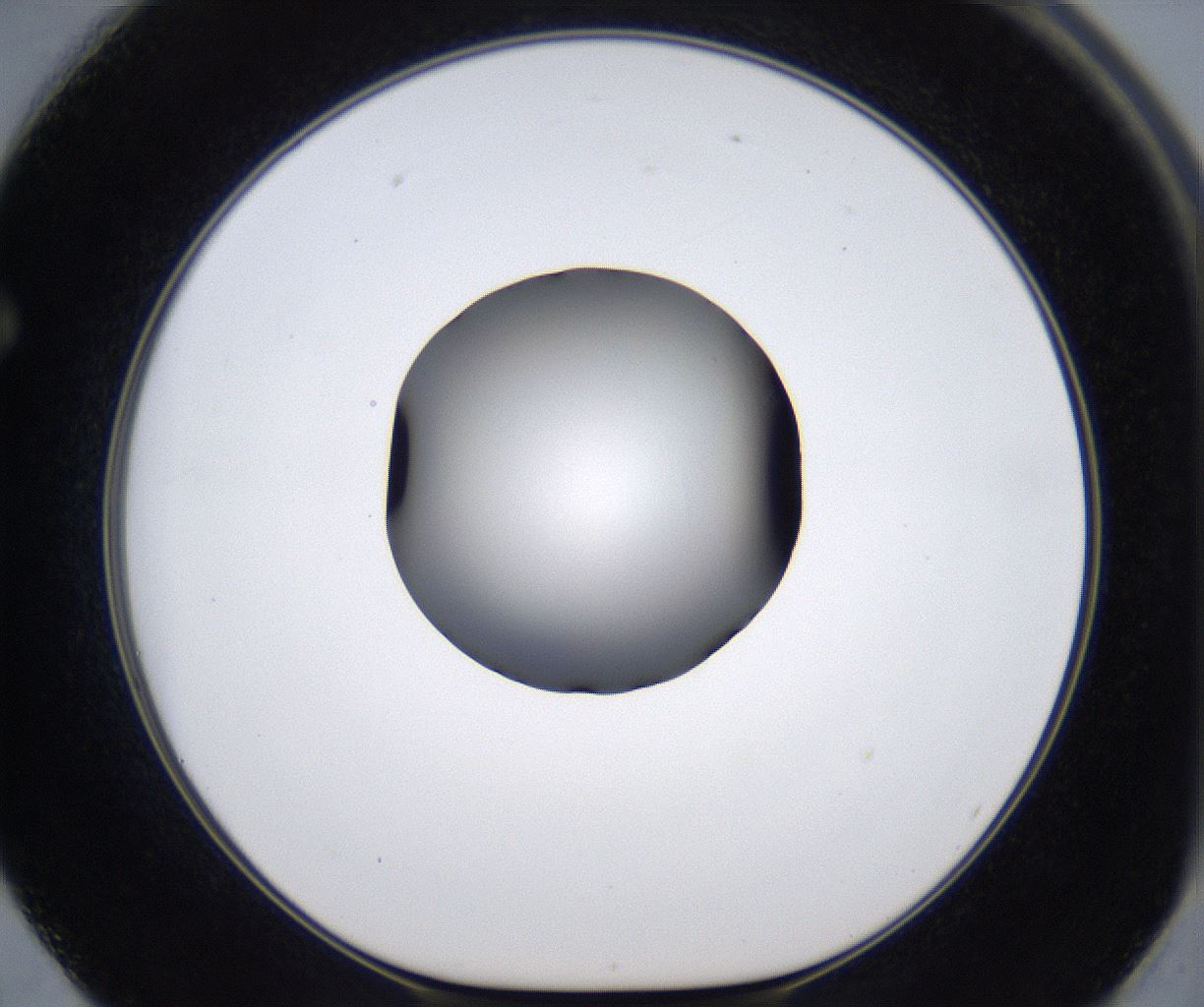 folderID279_plateID2279_batchID10792_wellNum62_profileID1_d1_r159144_ef.jpg