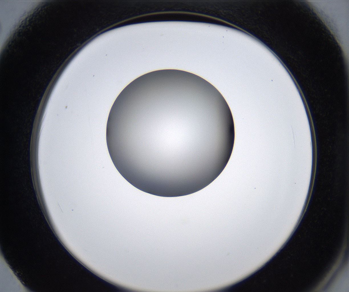 folderID279_plateID2279_batchID10792_wellNum62_profileID1_d2_r159145_ef.jpg