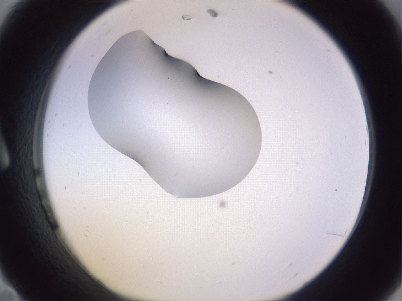 folderID280_plateID1280_batchID4172_wellNum11_profileID1_d1_r75276_ef.jpg