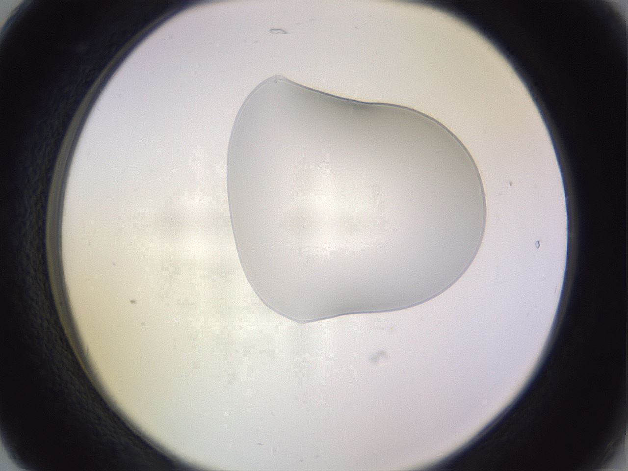 folderID280_plateID1280_batchID4172_wellNum17_profileID1_d2_r75289_ef.jpg