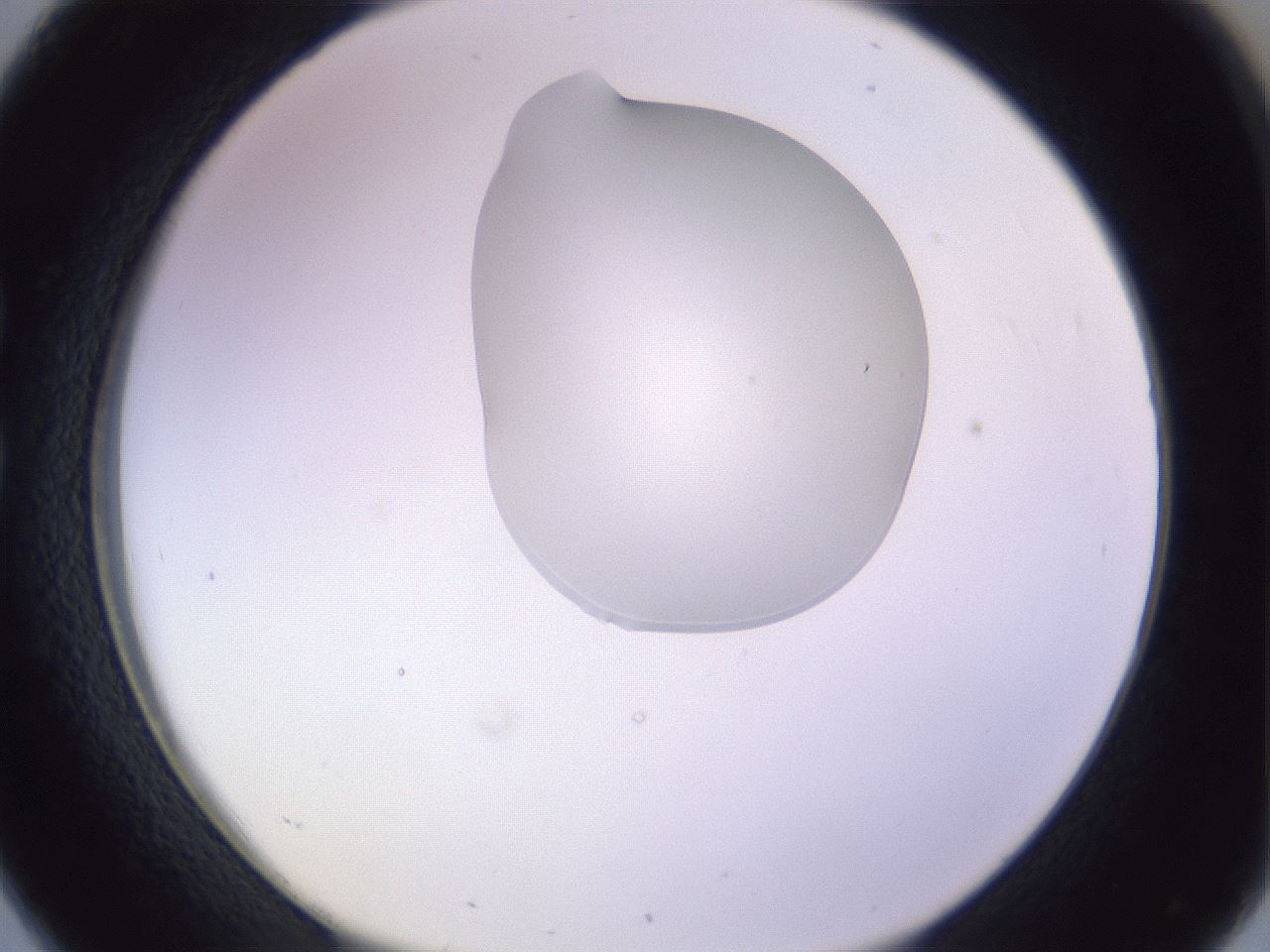 folderID280_plateID1280_batchID4172_wellNum26_profileID1_d1_r75306_ef.jpg