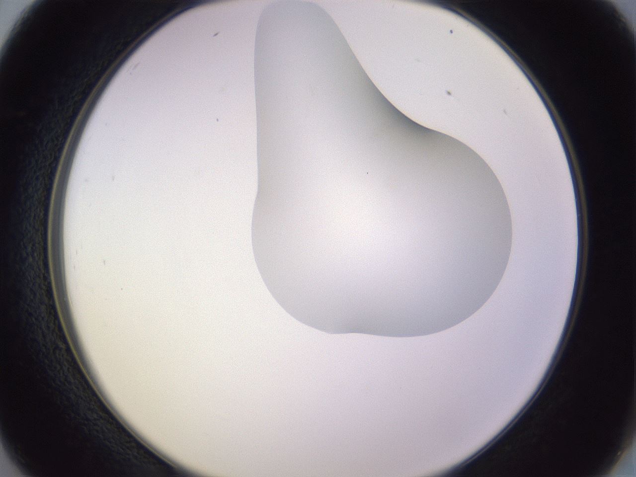 folderID280_plateID1280_batchID4172_wellNum26_profileID1_d2_r75307_ef.jpg