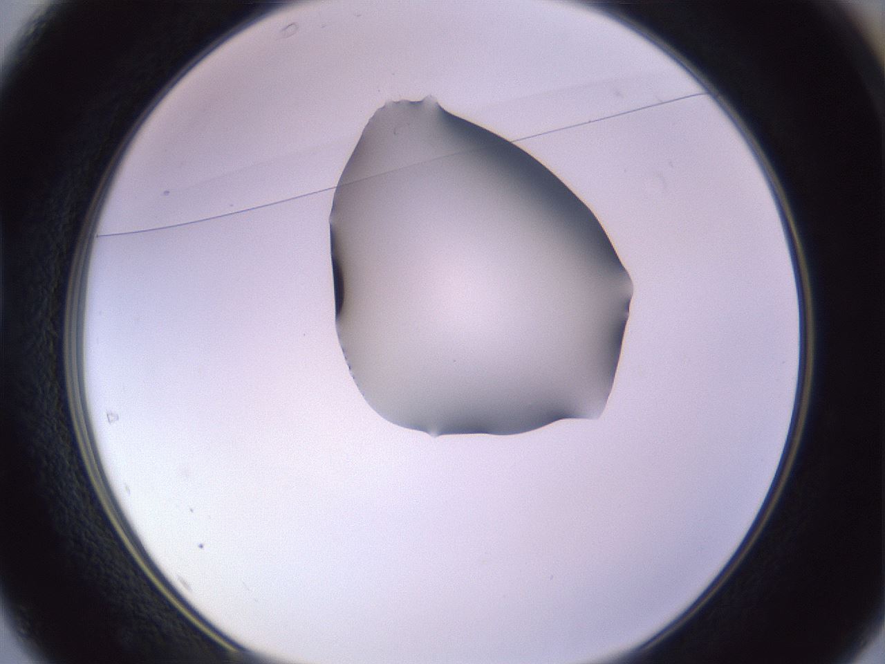 folderID280_plateID1280_batchID4172_wellNum37_profileID1_d1_r75328_ef.jpg