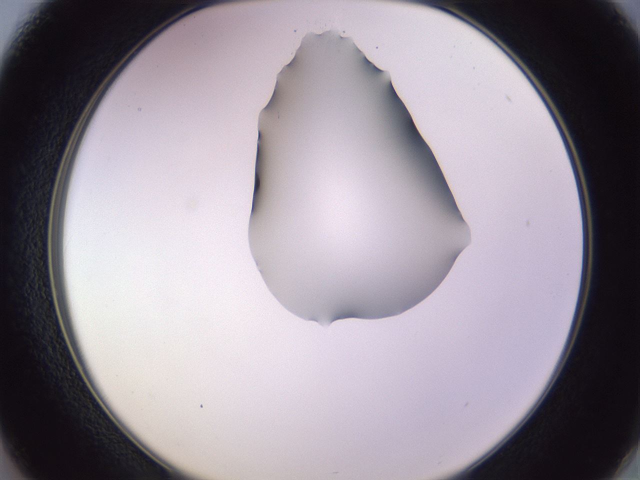folderID280_plateID1280_batchID4172_wellNum37_profileID1_d2_r75329_ef.jpg